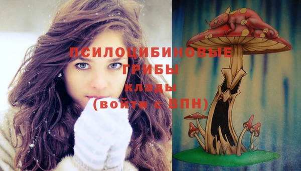 spice Липки