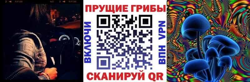 Псилоцибиновые грибы ЛСД  Михайловка 