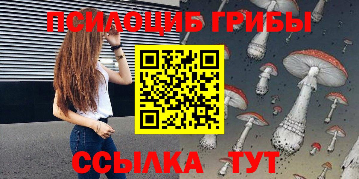 Псилоцибиновые грибы Cubensis  Михайловка 