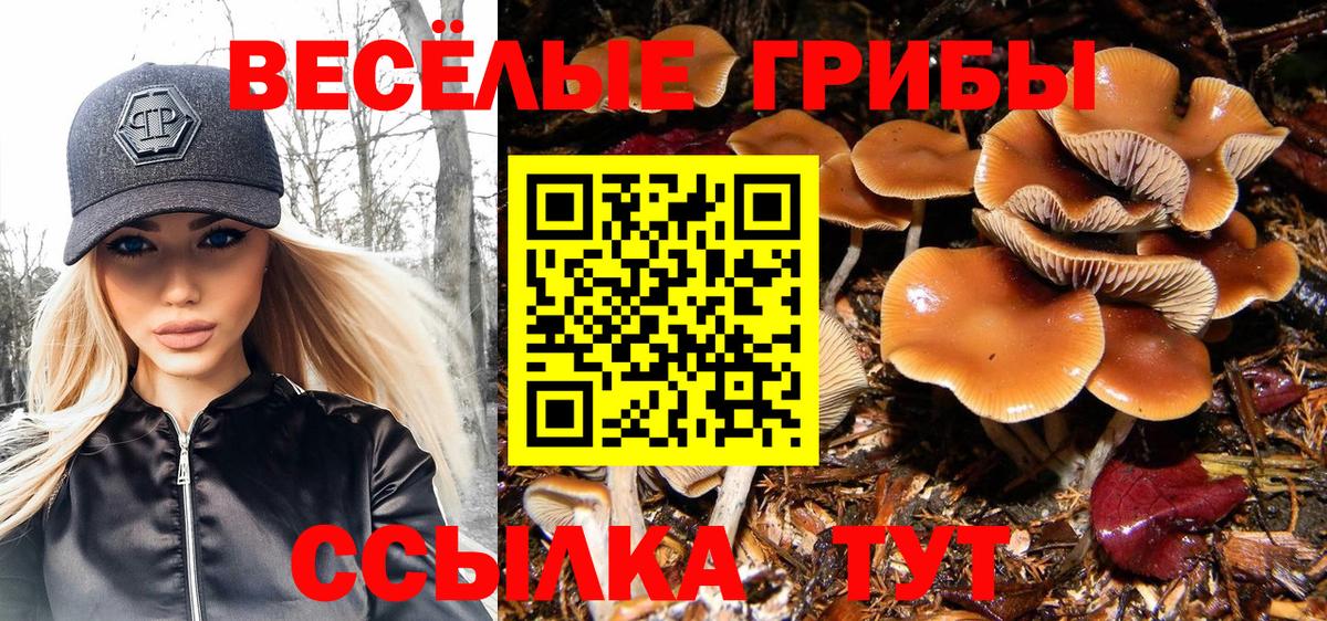 Галлюциногенные грибы Cubensis Михайловка